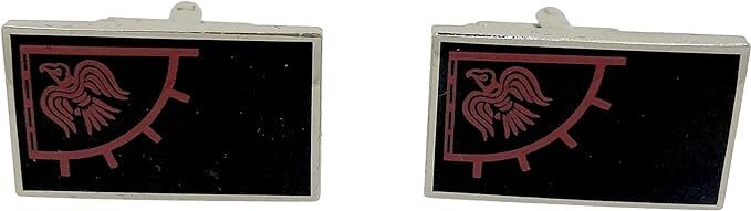 Odin Raven Viking Metal Cosplay Cufflinks in Presentation Gift Box