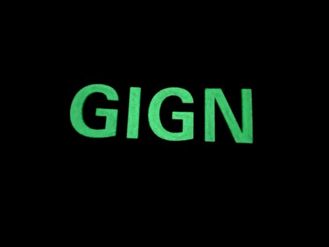 GIGN Groupe d'intervention de la Gendarmerie Nationale Glow in The Dark Tactical Airsoft Paintball PVC Morale Patch